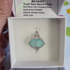 RG18407 TRUST YOUR HEARTS PATH